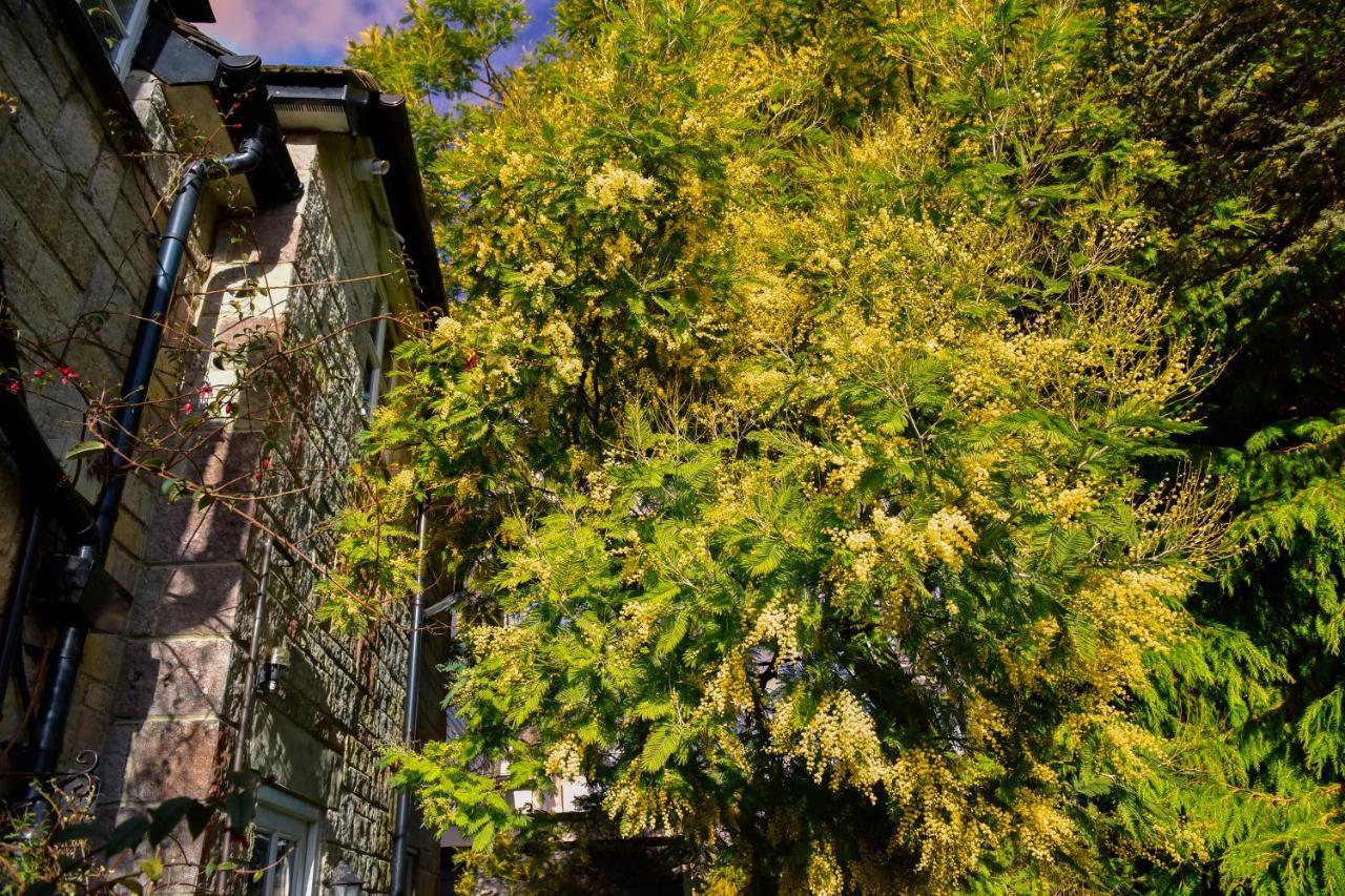 كاوز Ward Avenue B&B المظهر الخارجي الصورة